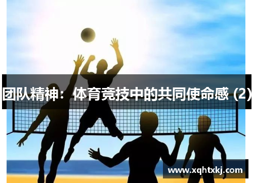 团队精神：体育竞技中的共同使命感 (2)